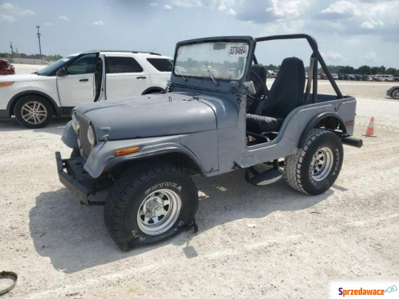 Jeep Wrangler  SUV 1973,  5.0 benzyna - Na sprzedaż za 7 380,00 zł - Katowice