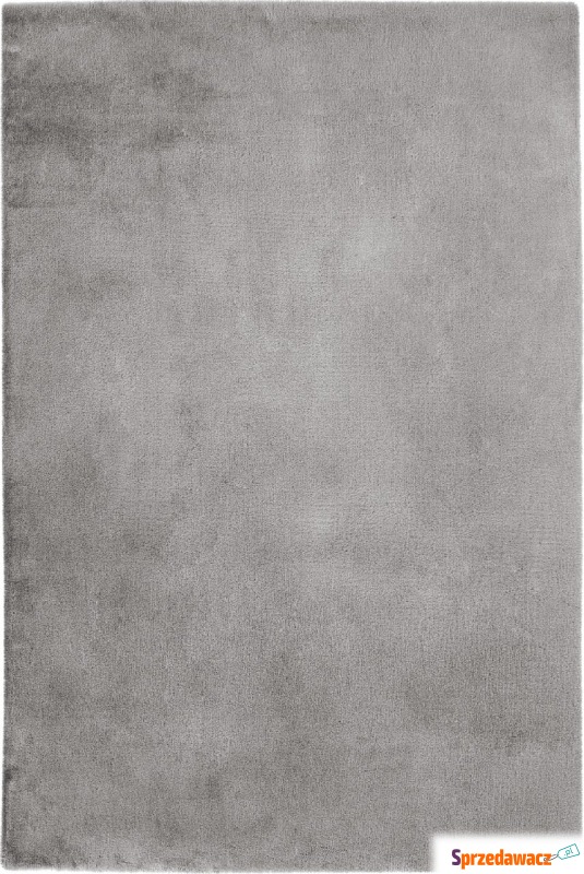 Dywan Cha Cha 120 x 170 cm srebrny - Dywany, chodniki - Toruń