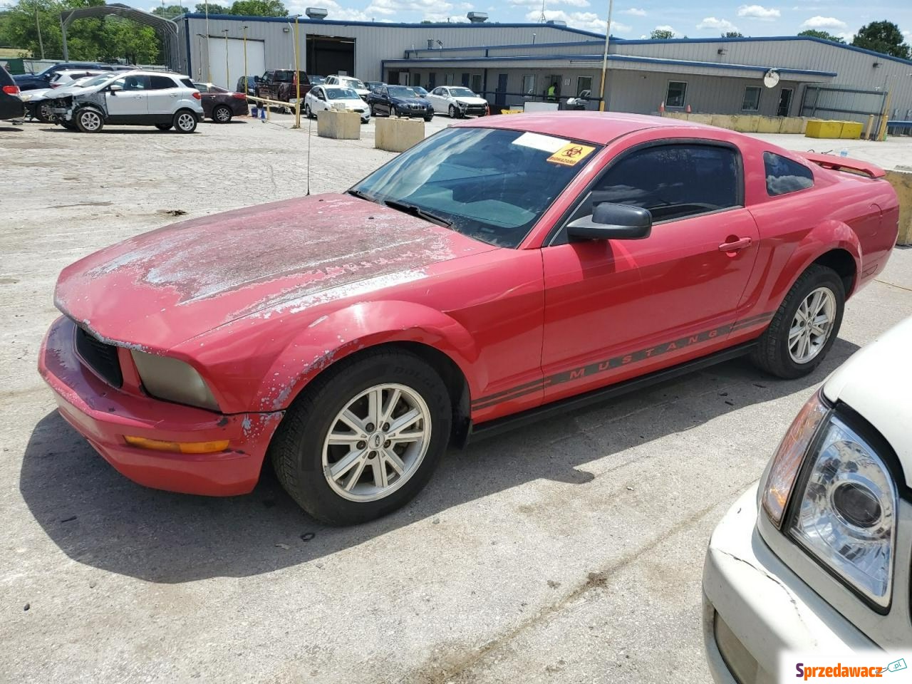 Ford Mustang 2007