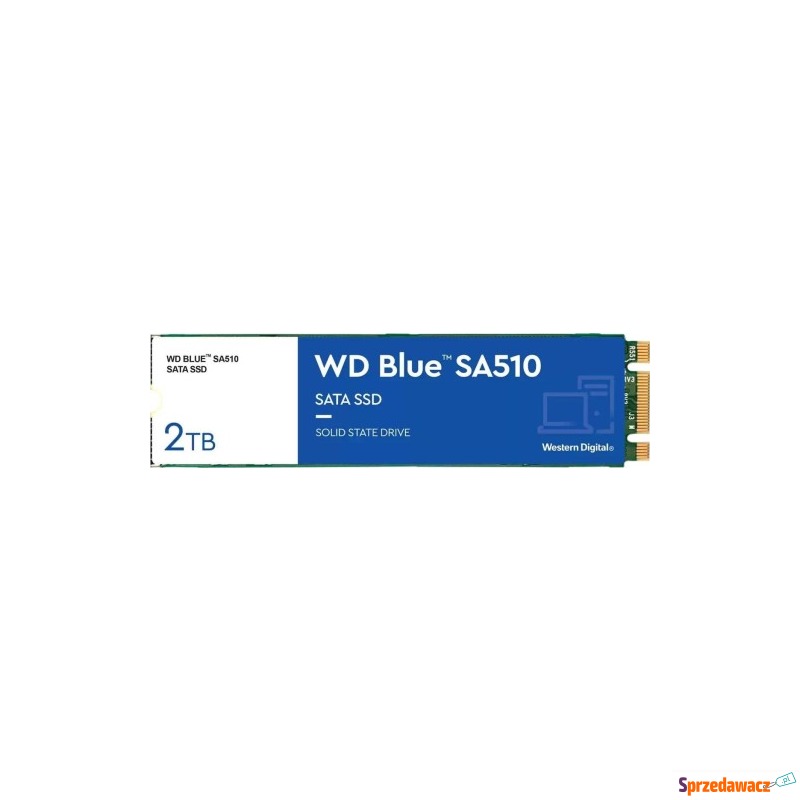 Dysk SSD WD Blue 2TB M.2 SATA WDS200T3B0B - Dyski twarde - Miszkowice