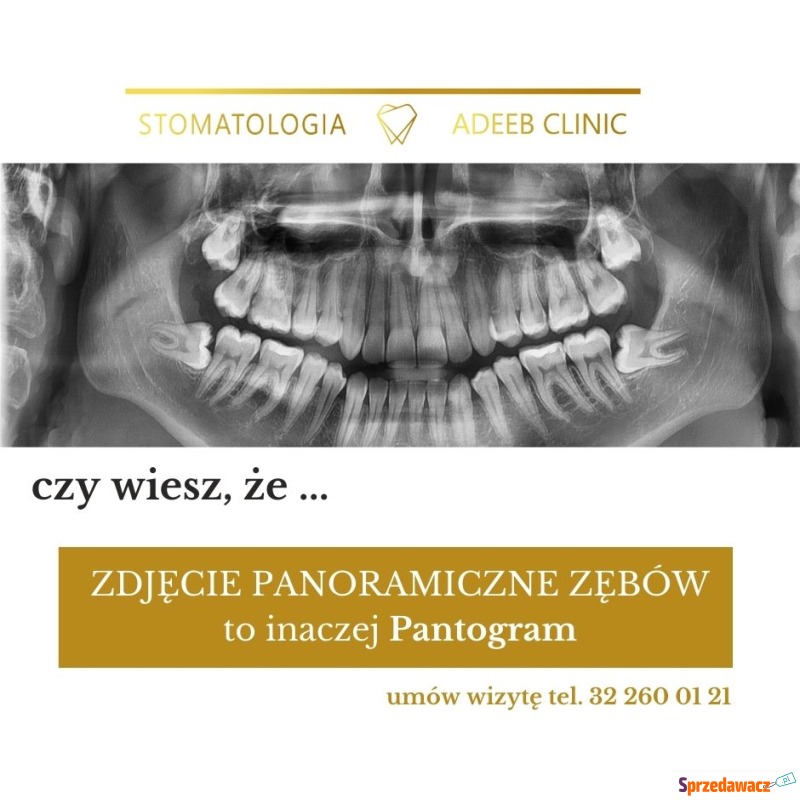 Adeeb Clinic Dąbrowa Górnicza RTG panorama Wahab... - Higiena jamy ustnej - Dąbrowa Górnicza