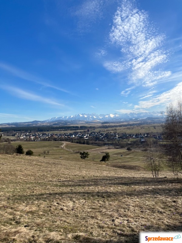 Działka rekreacyjna Waksmund sprzedam, pow. 4000 m2  (40a)