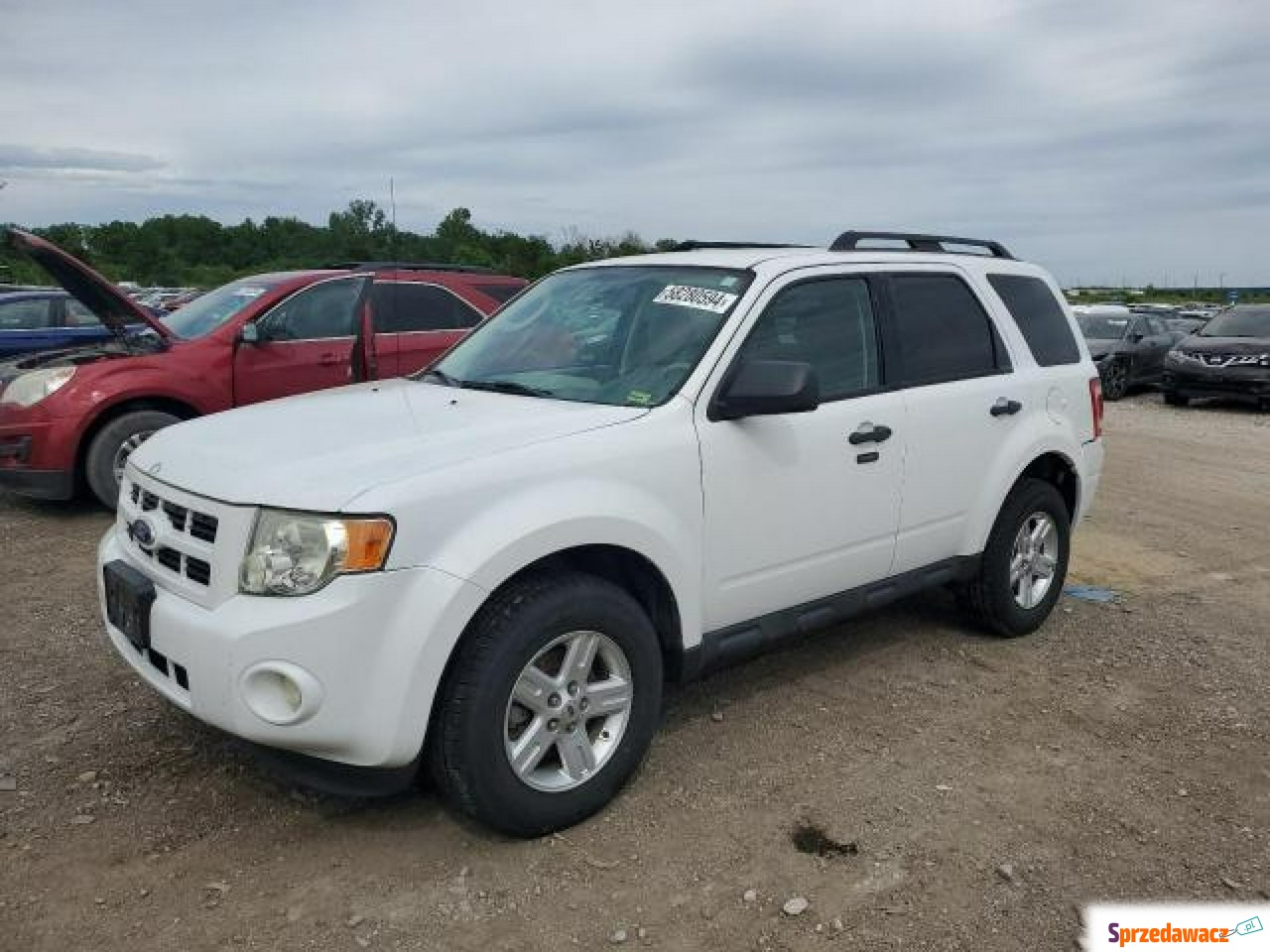 Ford Escape 2010