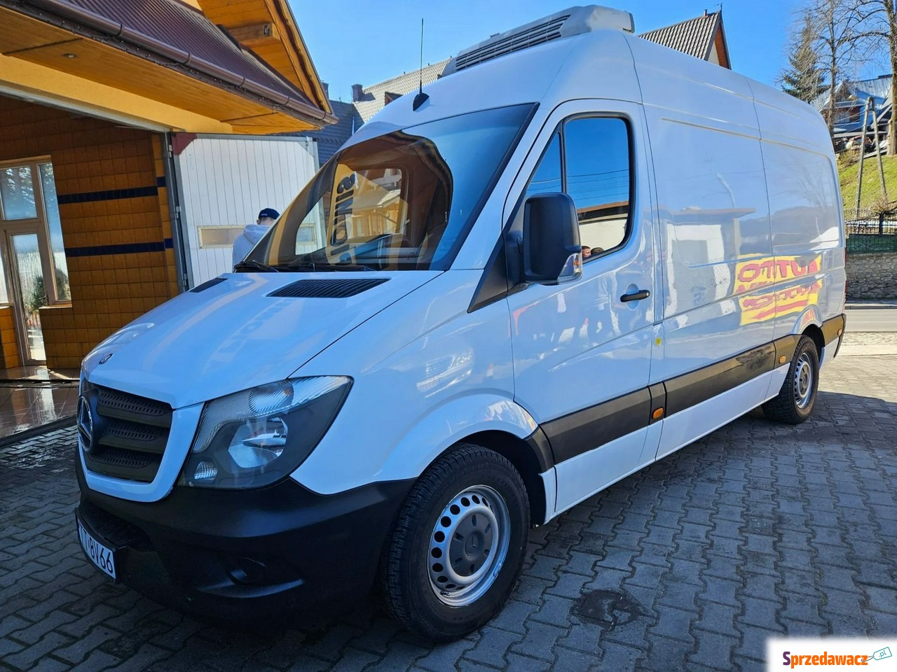 Mercedes Sprinter - Polecam
