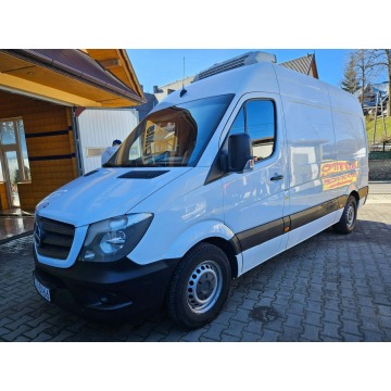 Mercedes Sprinter - Polecam