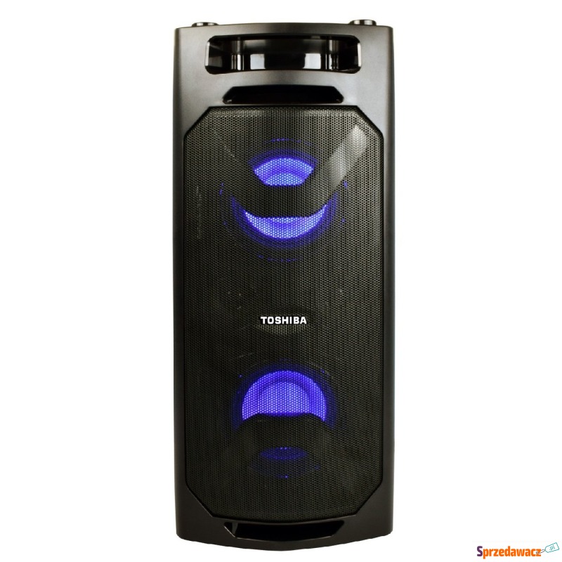 Głośniki power audio Toshiba TY-ASC51 - Głośniki - Skierniewice