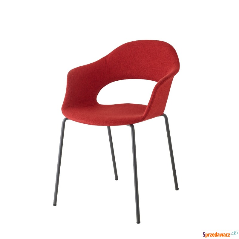 Krzesło Lady B Pop - rama czarny połysk - Krzesła kuchenne - Białogard