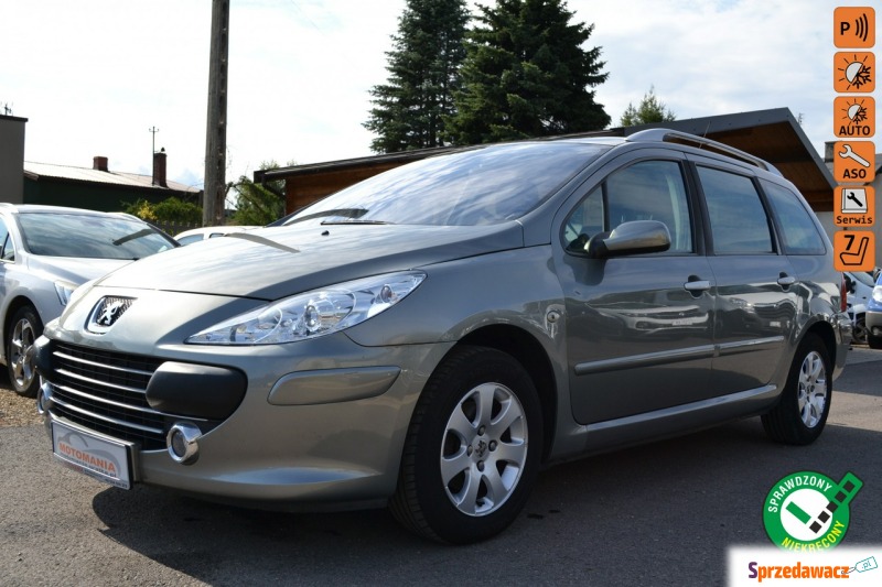 Peugeot 307 2007,  1.6 benzyna - Na sprzedaż za 12 900 zł - Częstochowa