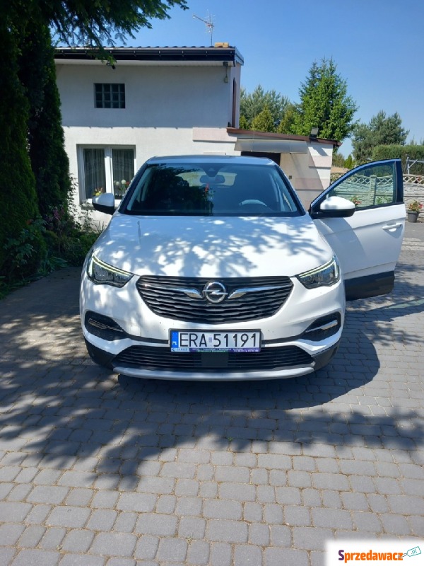 Opel Grandland X  SUV 2018,  1.5 diesel - Na sprzedaż za 57 800 zł - Cała Polska