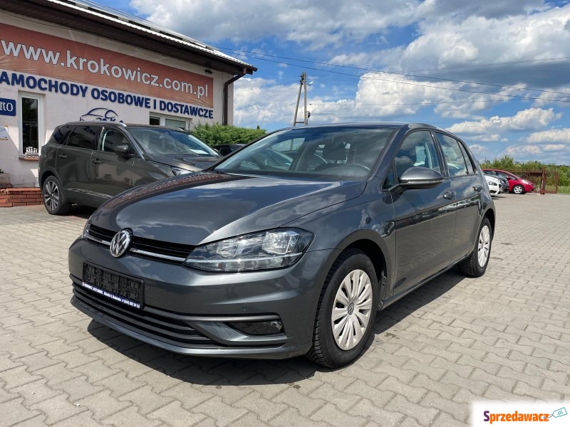 Volkswagen Golf  Hatchback 2019,  1.0 - Na sprzedaż za 50 300 zł - Malutkie