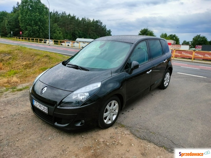 Renault Scenic  Hatchback 2009,  1.9 diesel - Na sprzedaż za 16 900 zł - Dolna Grupa