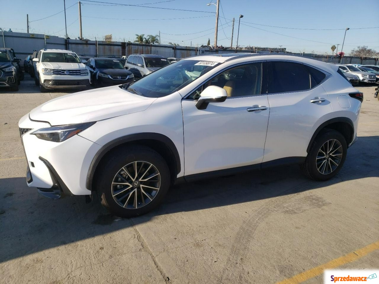 Lexus NX 2019