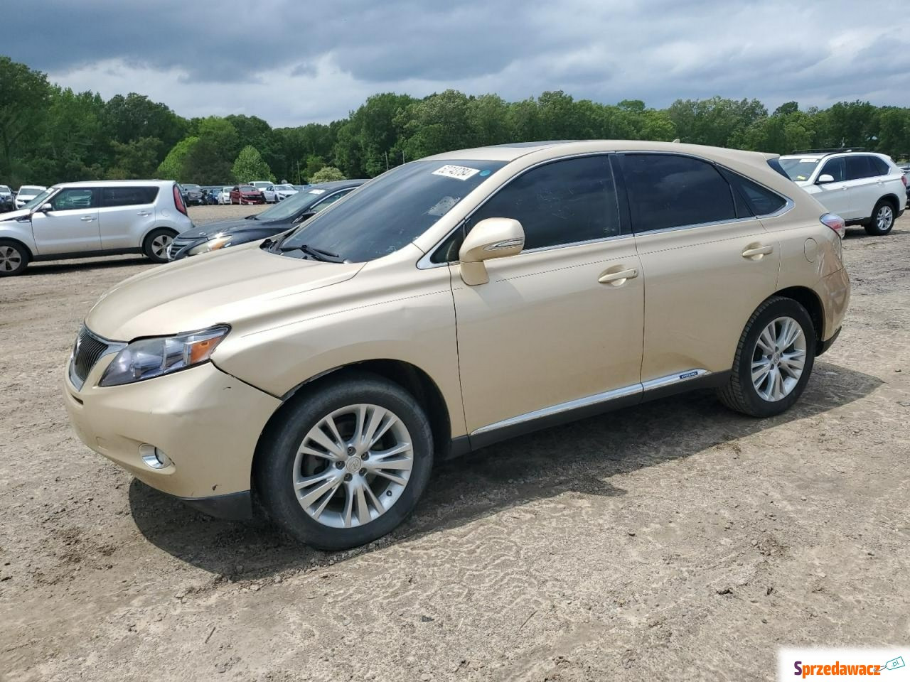 Lexus RX 2010