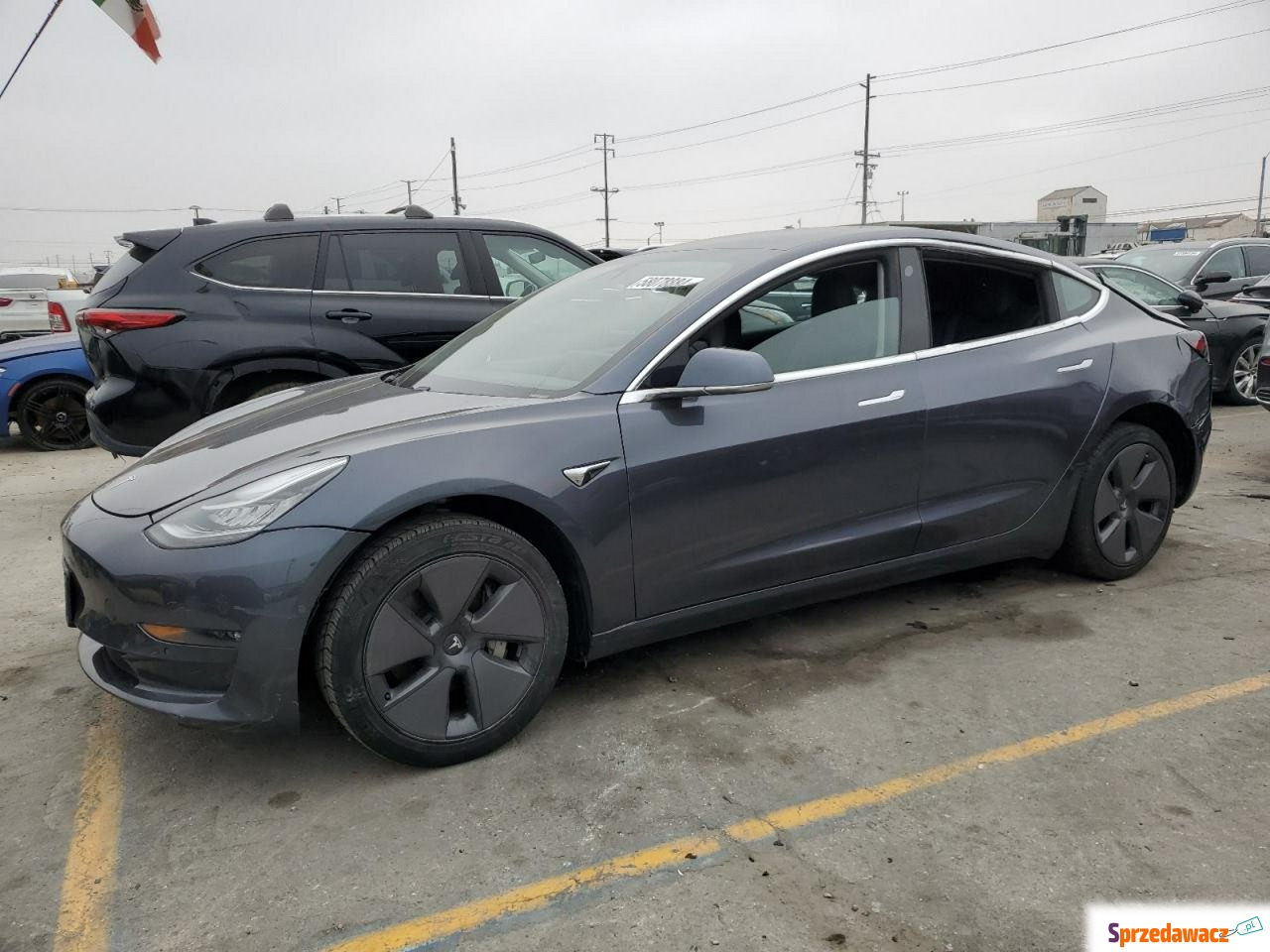 Tesla Model 3 2019