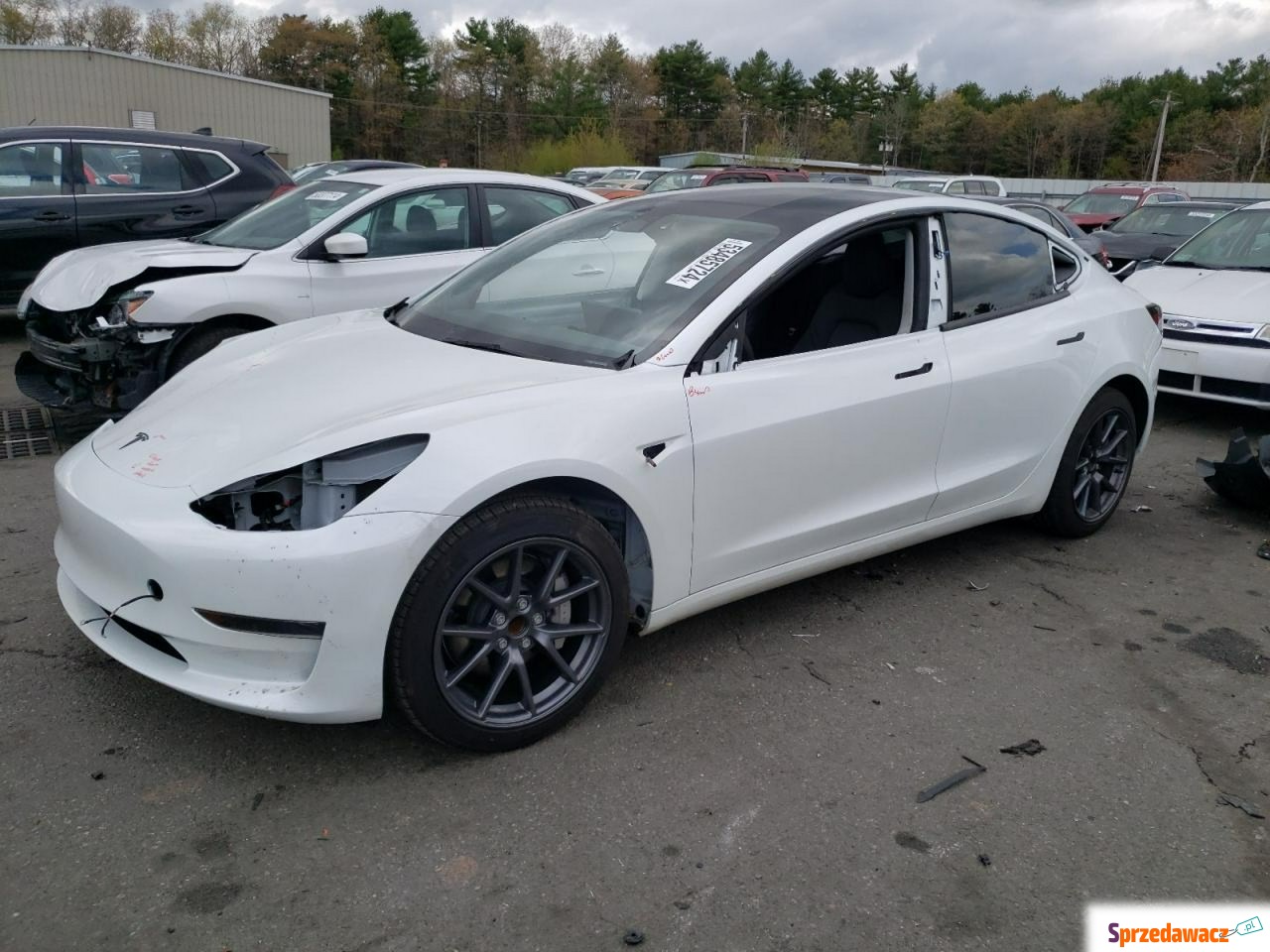 Tesla Model 3 2023