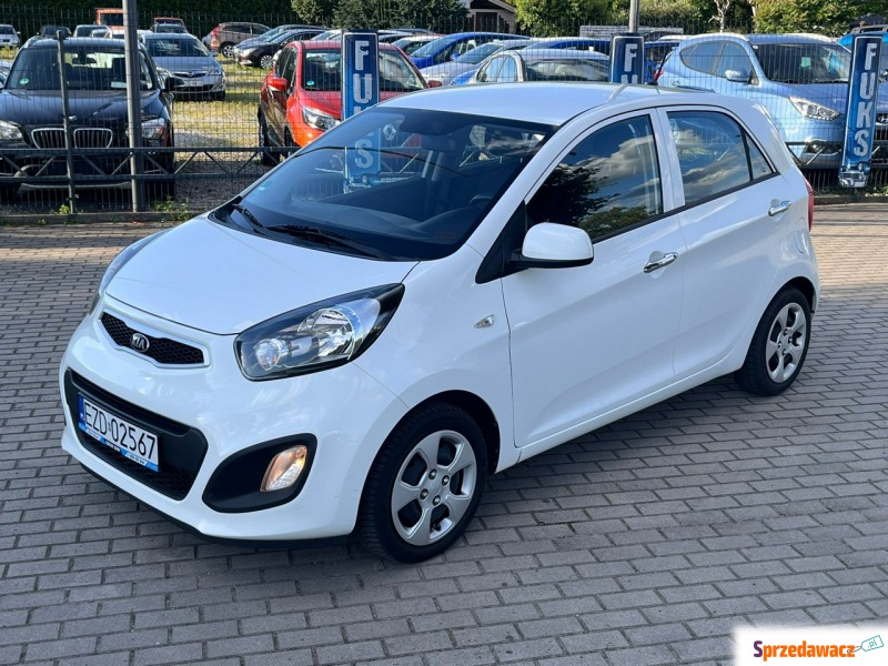 Kia Picanto - *Benzyna*Gwarancja*BDB stan* - Samochody osobowe - Zduńska Wola