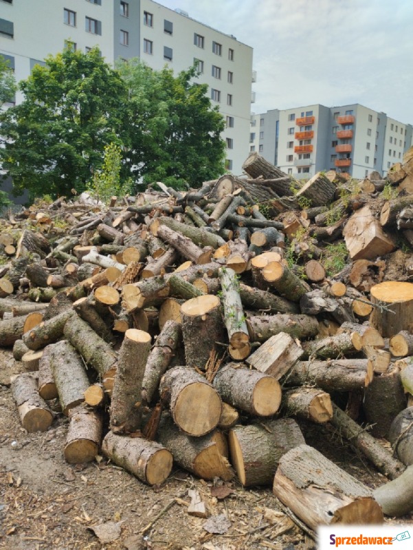 Drewno opałowe cięte w kawałkach - Pozostałe artykuły do... - Kraków