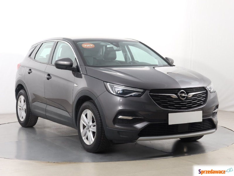 Opel   SUV 2020,  2.0 diesel - Na sprzedaż za 65 852 zł - Katowice