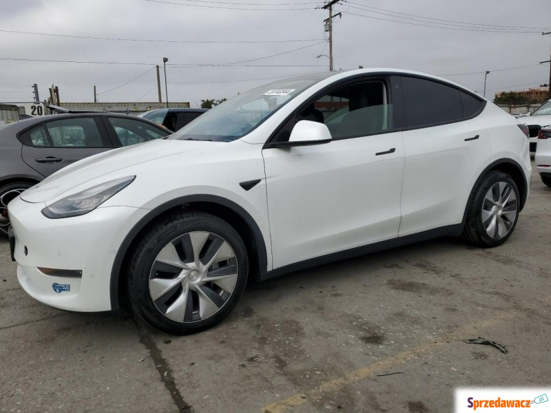 Tesla Y - Model Y - Samochody osobowe - Katowice