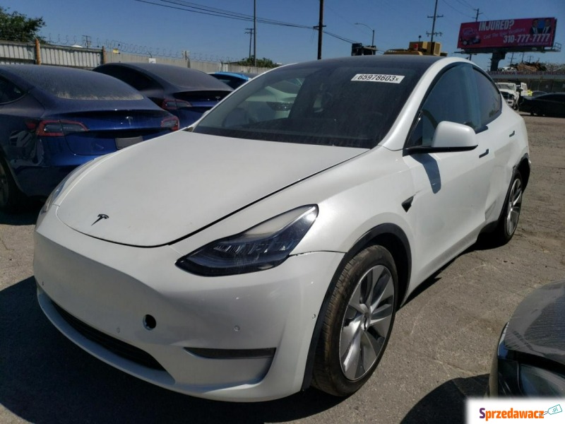 Tesla   SUV 2021,  0.0 zasilanie elektryczne - Na sprzedaż za 79 950 zł - Katowice