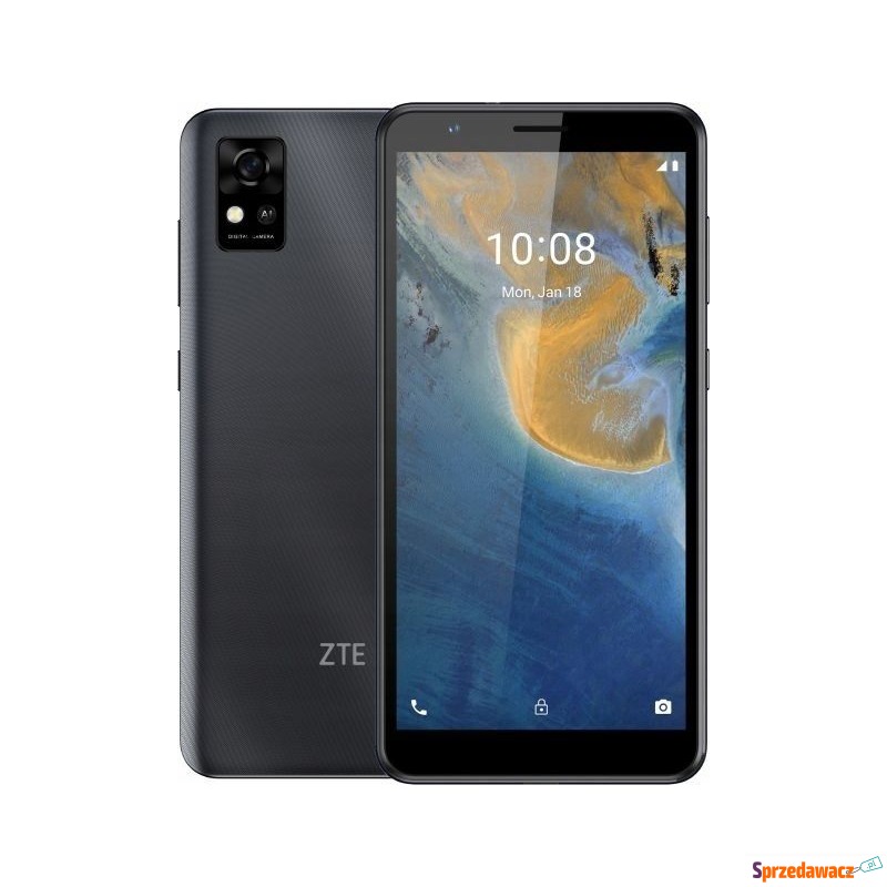 Smartfon ZTE Blade A31 2/32GB Szary (126595201057) - Telefony komórkowe - Legnica