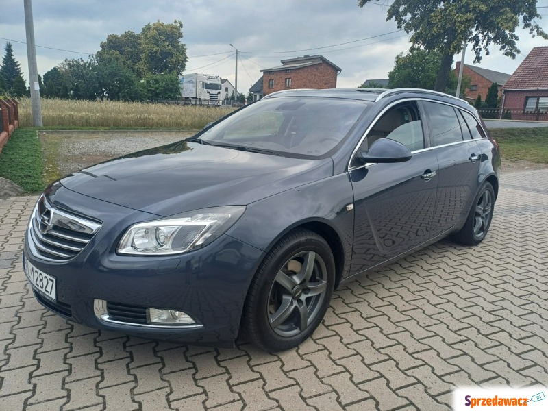 Opel Insignia 2009,  2.0 diesel - Na sprzedaż za 21 900 zł - Suchorzew