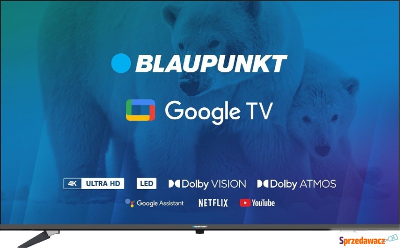 Telewizor Blaupunkt Smart TV Blaupunkt 55UBG6000S... - Telewizory - Gorzów Wielkopolski