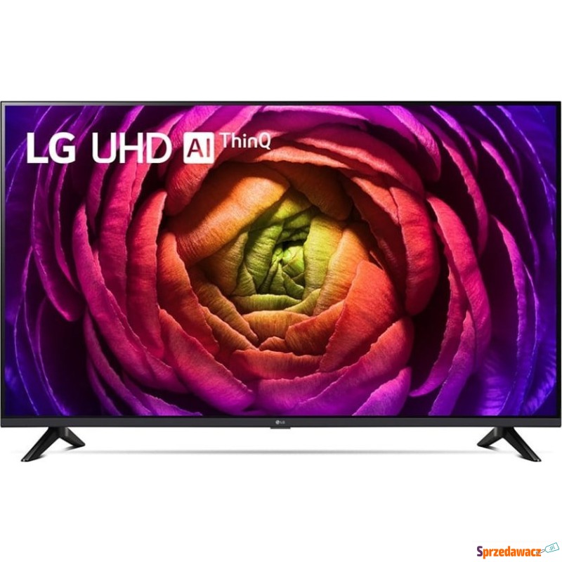 Telewizor LG 55UR73003LA LED 55'' 4K Ultra HD... - Telewizory - Toruń