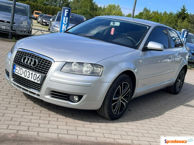 Audi A3  Hatchback 2005,  1.6 benzyna - Na sprzedaż za 18 900 zł - Zduńska Wola