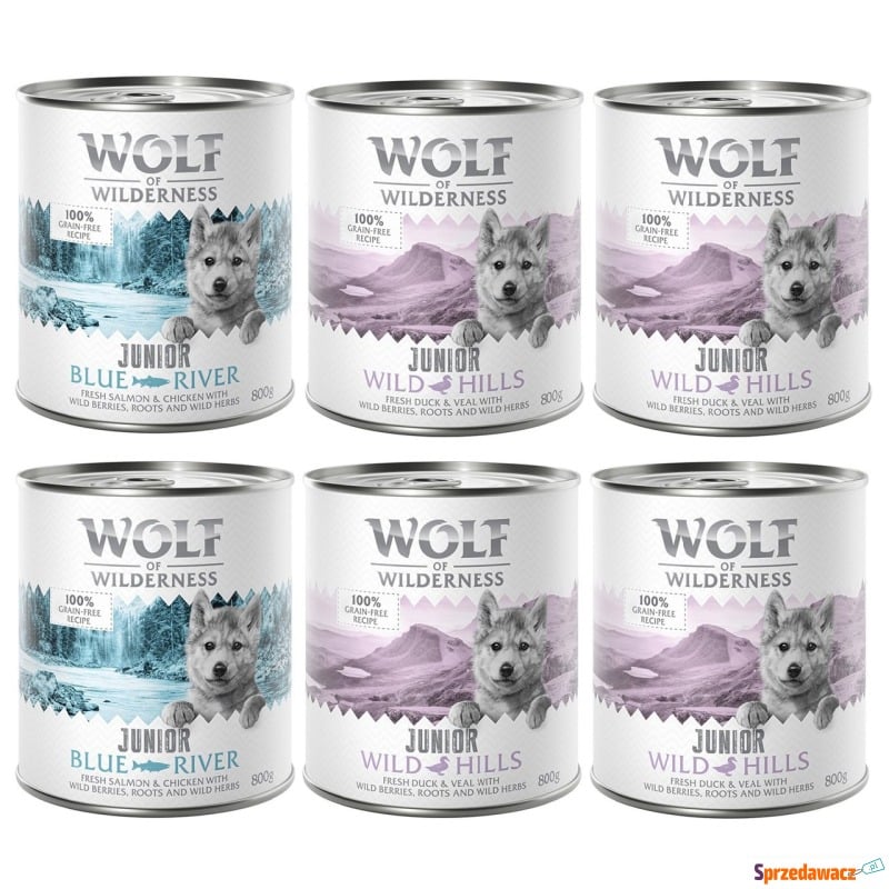Pakiet mieszany Wolf of Wilderness JUNIOR  - 6... - Karmy dla psów - Bytom