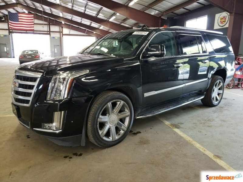 Cadillac Escalade  SUV 2019,  6.2 benzyna - Na sprzedaż za 83 394 zł - Katowice