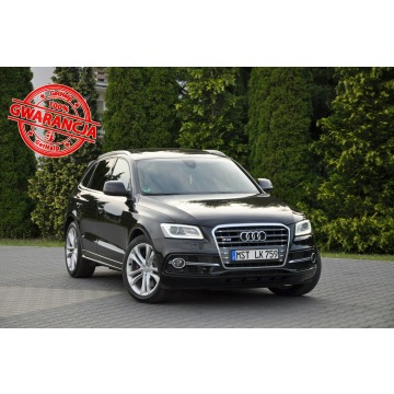 Audi SQ5 - 3.0TDI(313KM)*Radar ACC*Xenon*Navi*Bang&Olufsen*Panorama*Skóry*Alu20