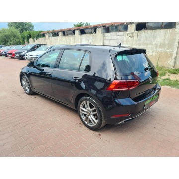 Volkswagen Golf  Hatchback 2017,  1.6 diesel, automat - Na sprzedaż za 54 900 zł - Świebodzin - zdjęcie 8