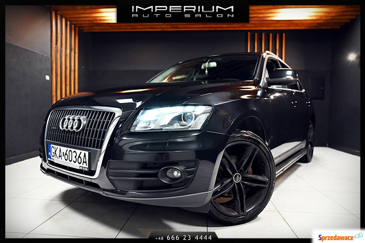 Audi Q5 2010