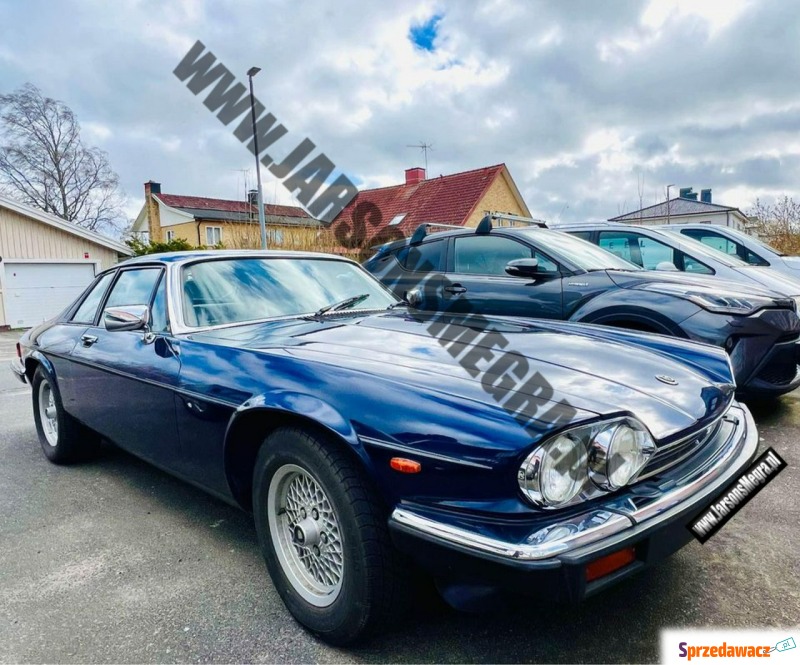 Jaguar XJ  Coupe/Sportowy 1985,  5.3 benzyna - Na sprzedaż za 42 700 zł - Kiczyce