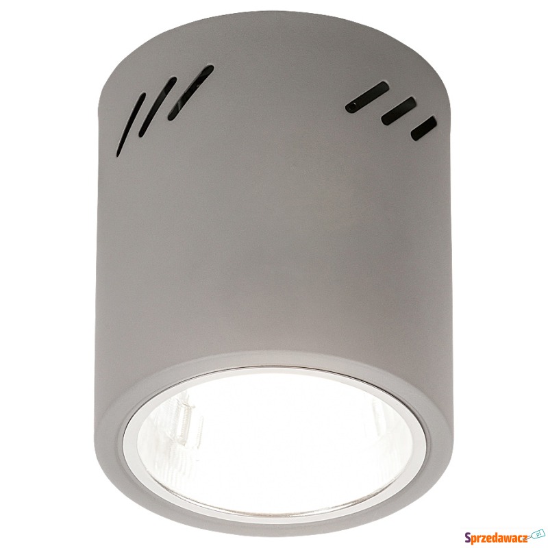 Plafon lampa sufitowa spot Rabalux Donald 1x60W... - Plafony - Kalisz