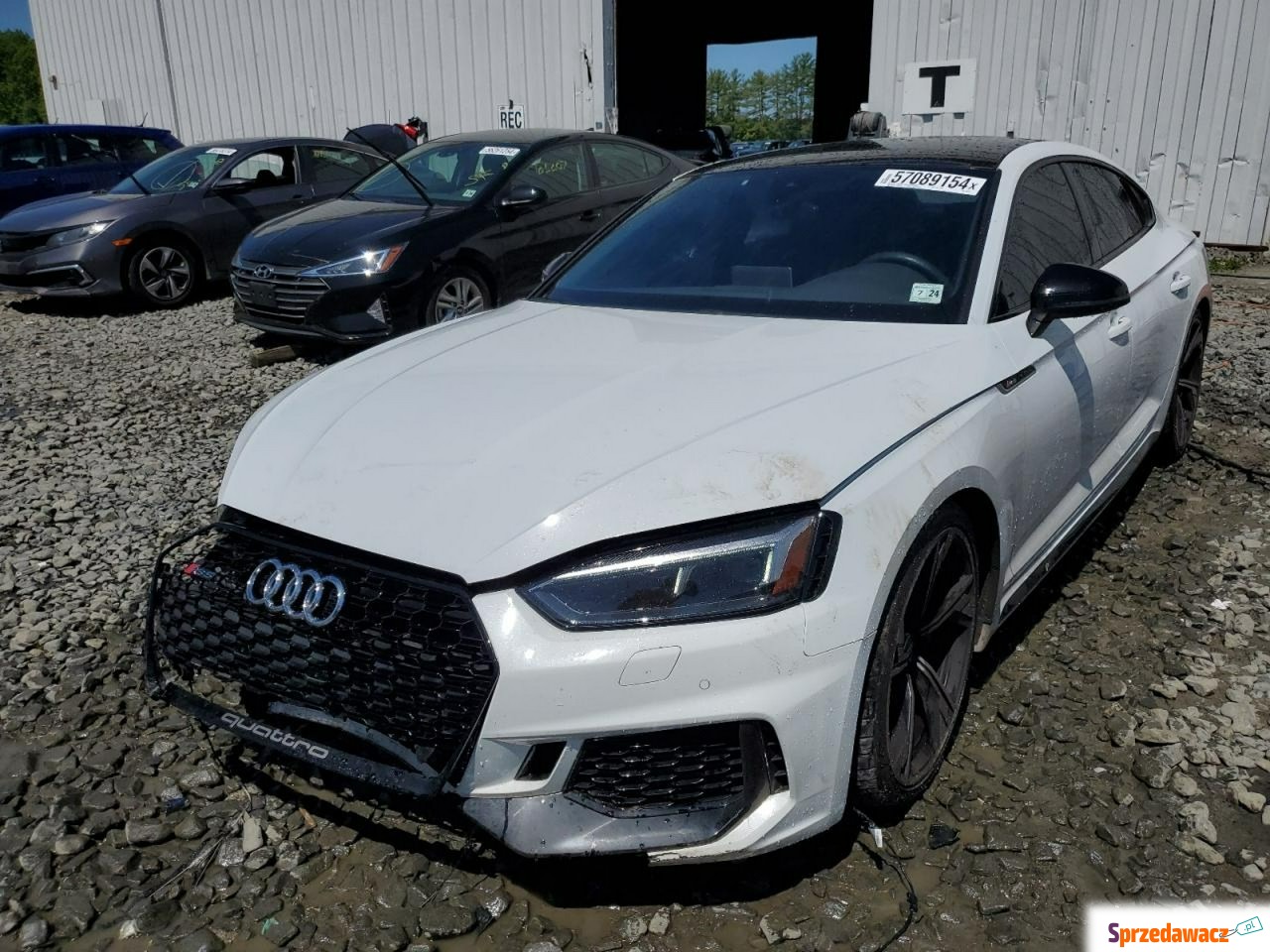 Audi RS5 2019
