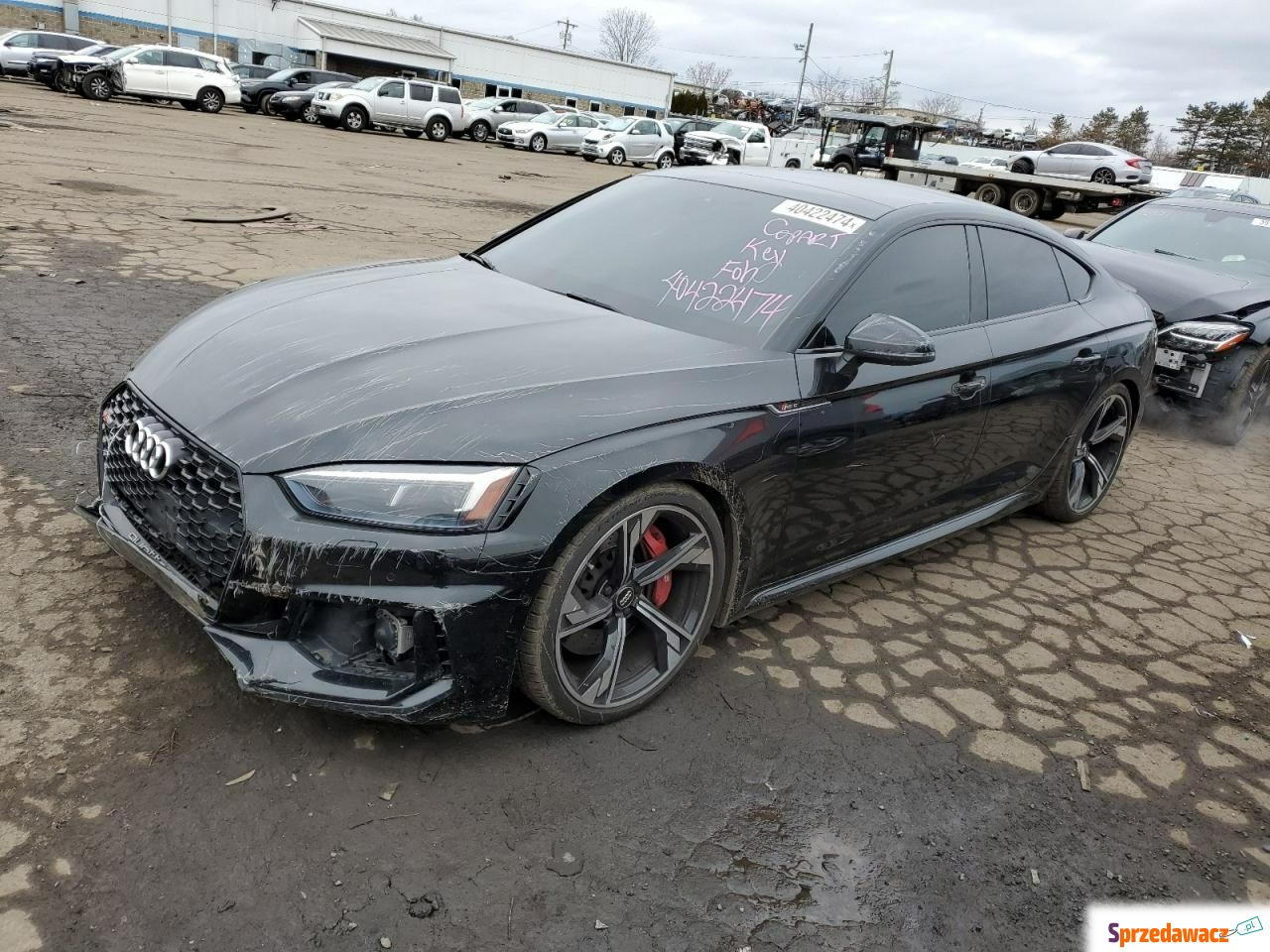 Audi RS5 2019