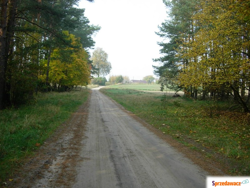 Działka rolno-budowlana Świecie sprzedam, pow. 2300 m2  (23a), uzbrojona