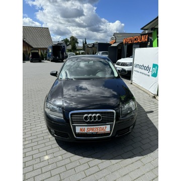Audi A3  Hatchback 2005,  2.0 diesel - Na sprzedaż za 12 900 zł - Nowa Wieś Lęborska - zdjęcie 2