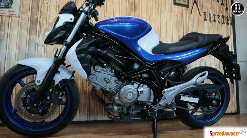 Przepiękny CZYSTY I ZADBANY suzuki gladius 650... - Pozostałe motocykle - Bicz