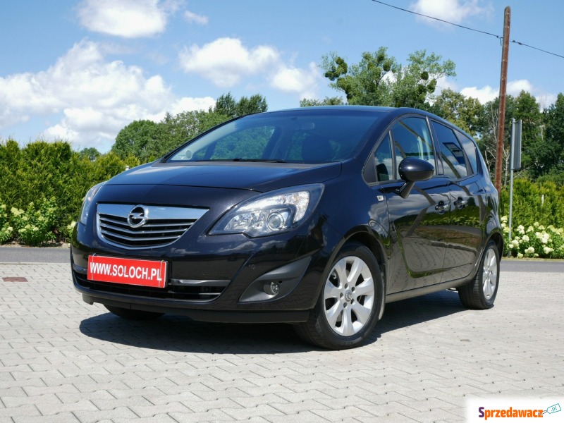 Opel Meriva  Minivan/Van 2010,  1.4 benzyna+LPG - Na sprzedaż za 22 900 zł - Goczałkowice-Zdrój