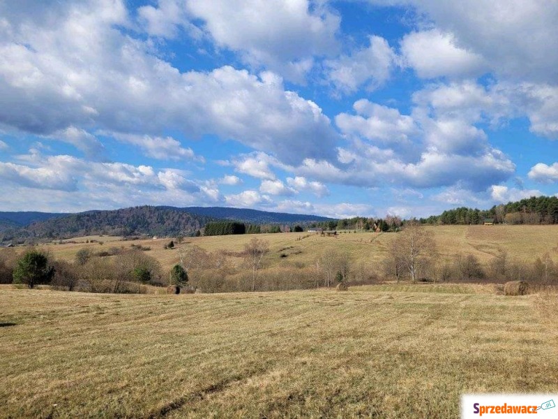 Działka rolno-budowlana Krempna sprzedam, pow. 4000 m2  (40a), uzbrojona