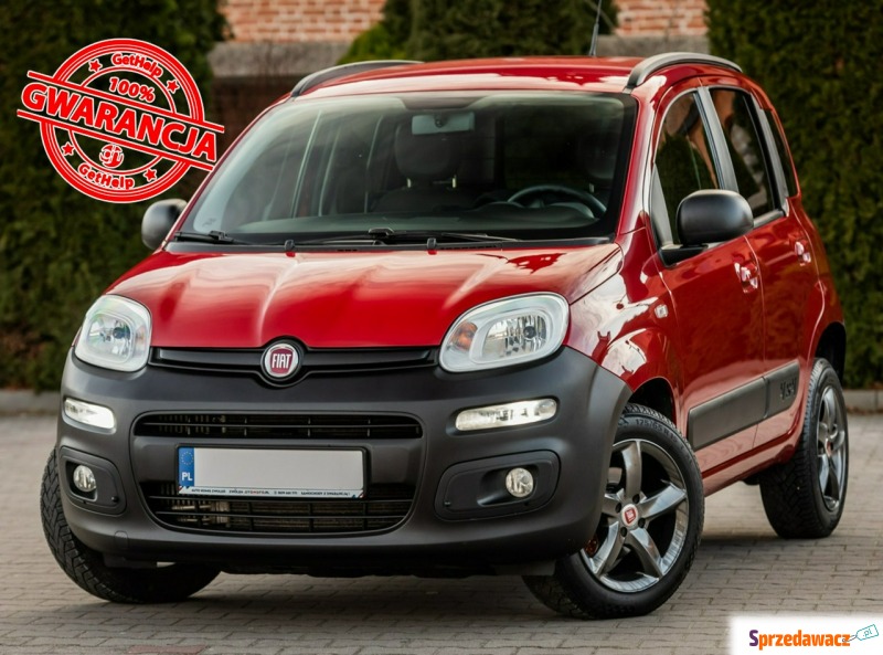 Fiat Panda - 4x4 VAN 1.3d 75KM ! Super Stan !... - Samochody osobowe - Zwoleń