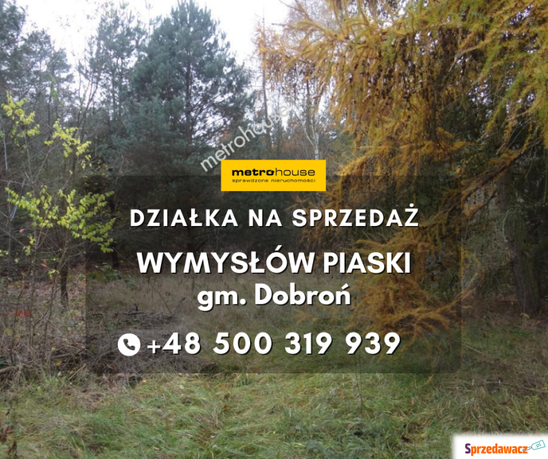 Działka rolna Dobroń sprzedam, pow. 1275 m2  (12.8a)