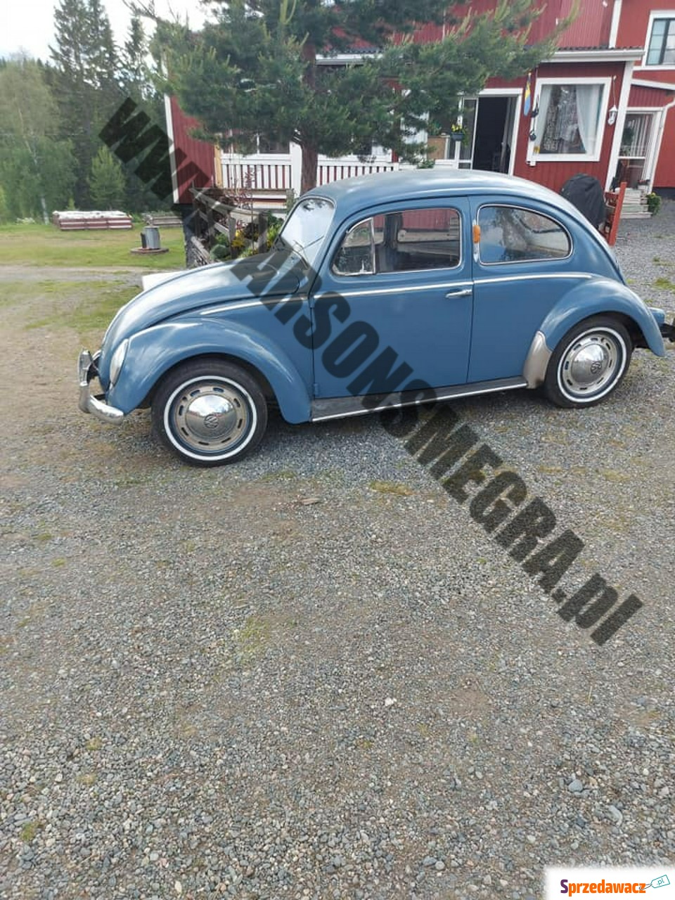 Volkswagen Beetle 1959