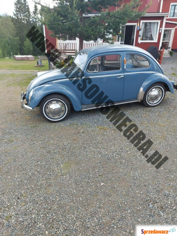 Volkswagen Beetle  Sedan/Limuzyna 1959,  1.2 benzyna - Na sprzedaż za 31 200 zł - Kiczyce