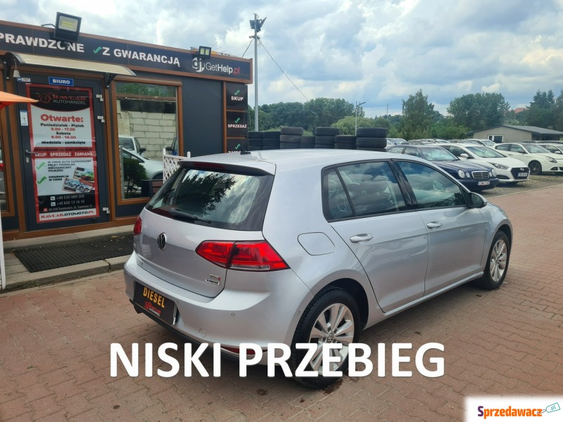 Volkswagen Golf  Hatchback 2016,  1.6 diesel - Na sprzedaż za 43 900 zł - Świebodzin