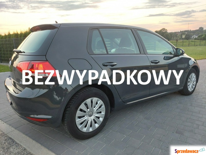 Volkswagen Golf  Hatchback 2016,  1.2 benzyna - Na sprzedaż za 42 900 zł - Liszki