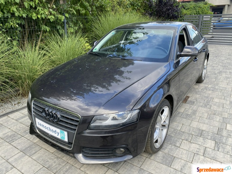 Audi A4  Sedan/Limuzyna 2009,  2.0 benzyna - Na sprzedaż za 29 500 zł - Poznań